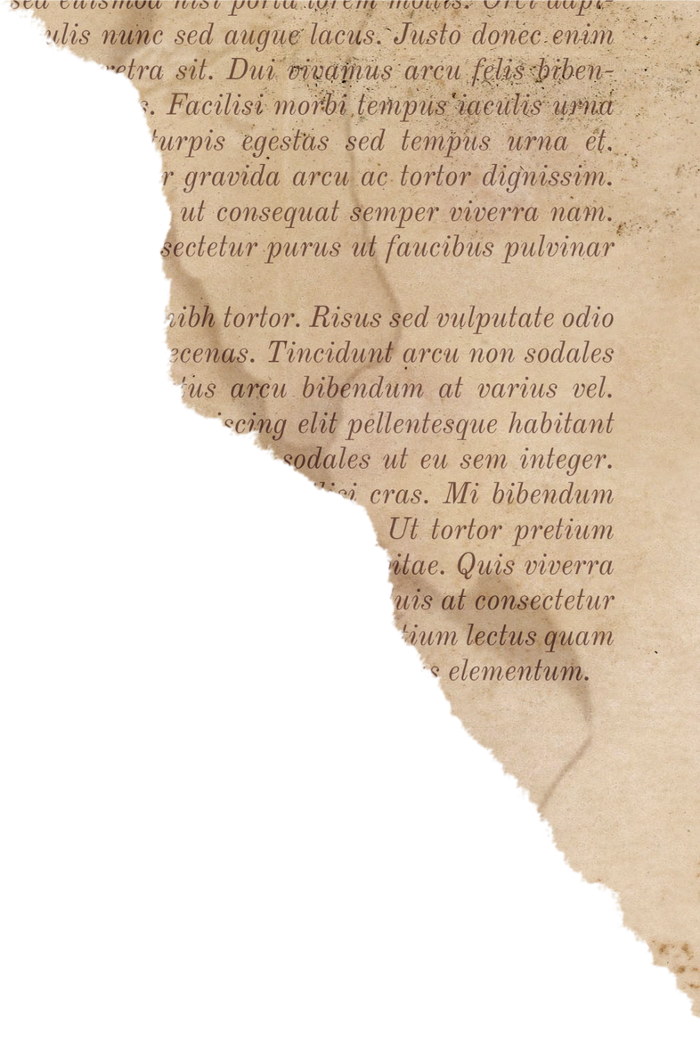 Old Torn Book Page