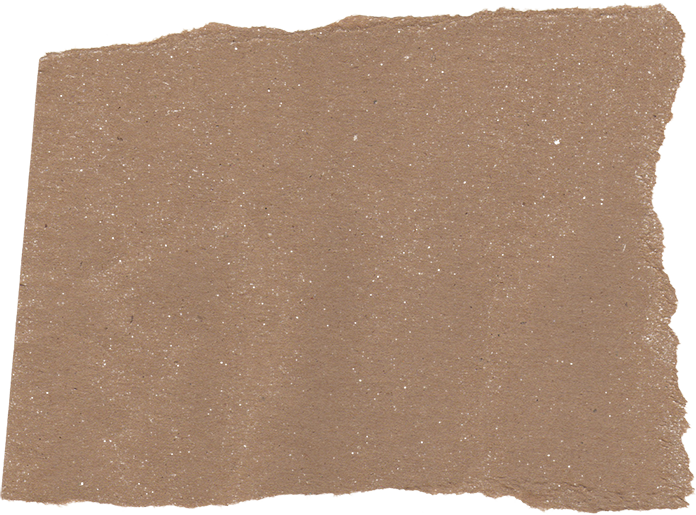Ripped Paper